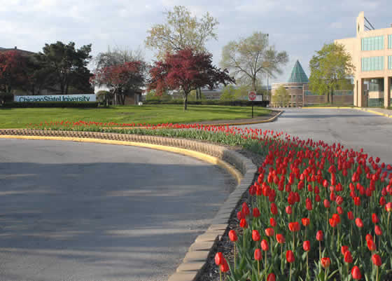 Entrance at 95th and St Lawrence with tulips