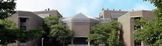 Department of Social Work