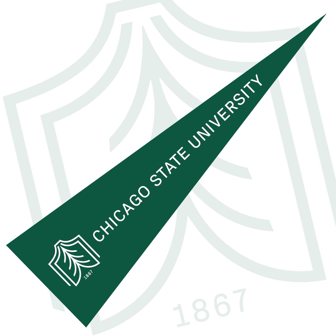 Large square graphic of the CSU pennant angled across the frame.