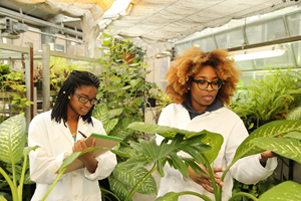 Students observing plants in greenhouse