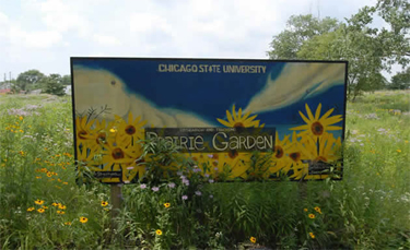 Prairie Garden