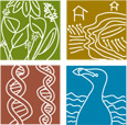 Center for Environment Research and Conservation
