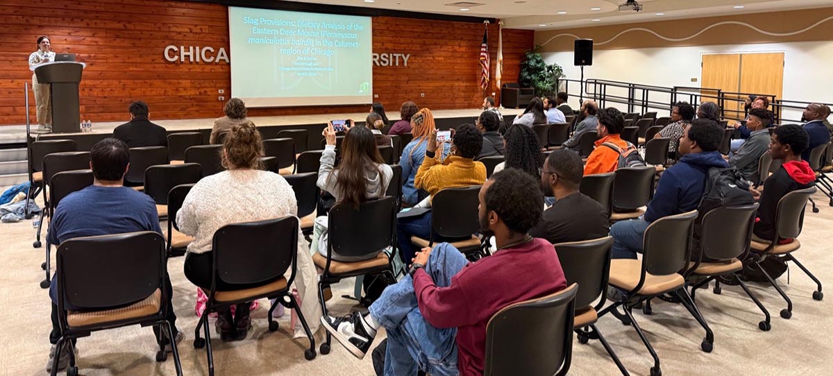In a warmly lit room, the audience looks toward the stage while a student presents from behind a podium. The slide of the presentation shown is titled "Slag Provisions: Dietary Analysis of the Eastern Deer Mouse in the Calumet-region of Chicago."