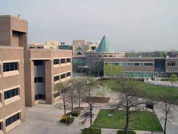 Central campus walkway