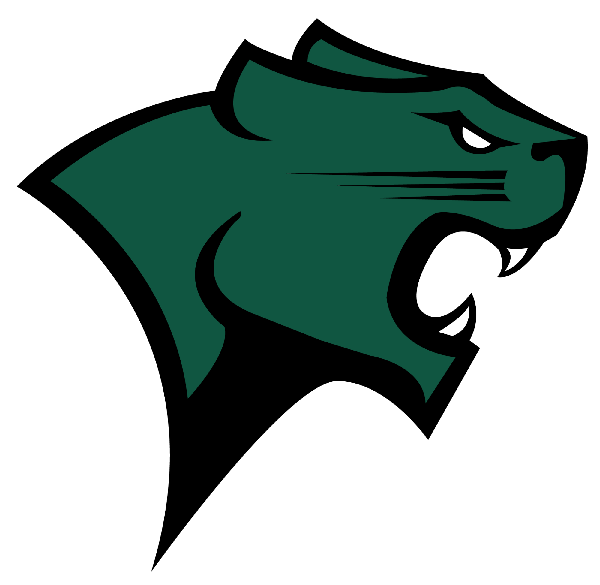 Go CSU Cougars