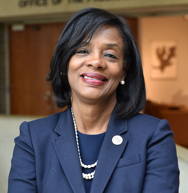 Sonja Feist-Price, Ph.D., Rh.D.