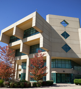 CSU library